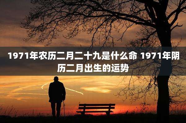1971年农历二月二十九是什么命 1971年阴历二月出生的运势