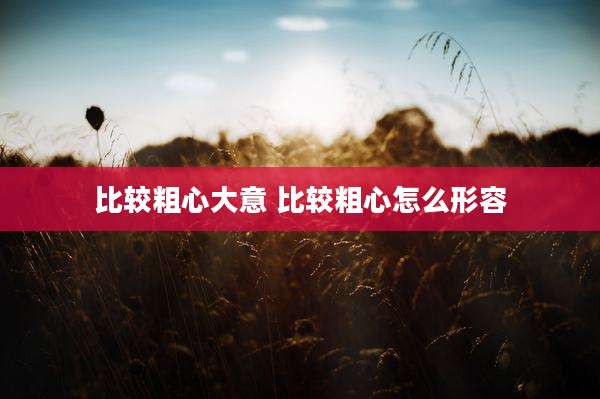 比较粗心大意 比较粗心怎么形容