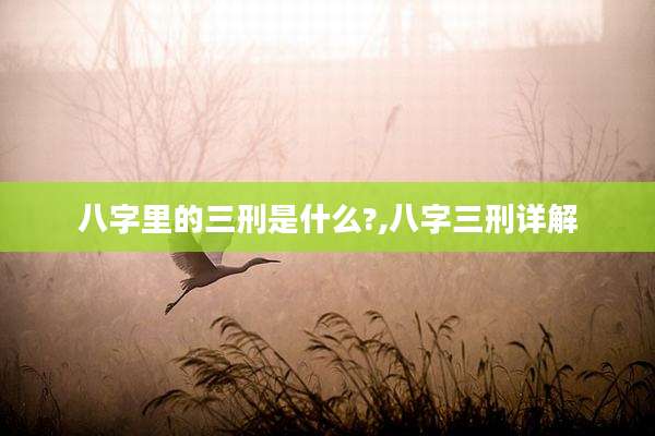 八字里的三刑是什么?,八字三刑详解