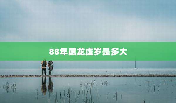 88年属龙虚岁是多大