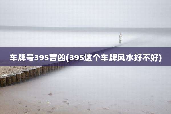 车牌号395吉凶(395这个车牌风水好不好)