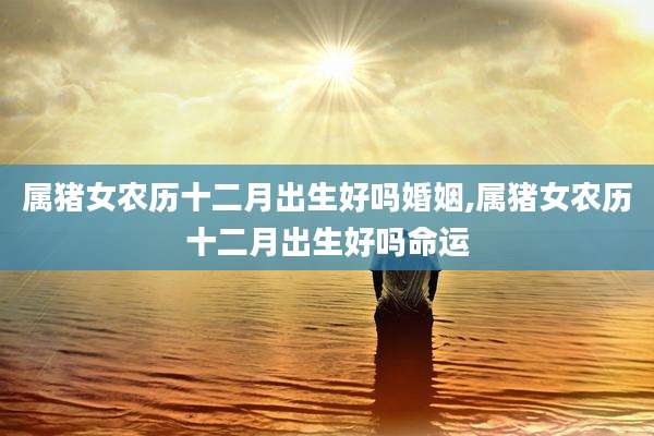 属猪女农历十二月出生好吗婚姻,属猪女农历十二月出生好吗命运