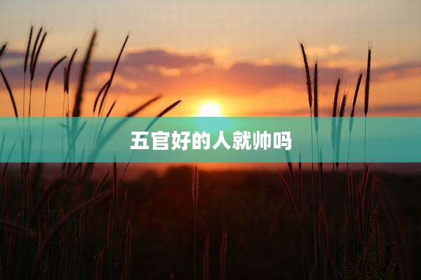 五官好的人就帅吗