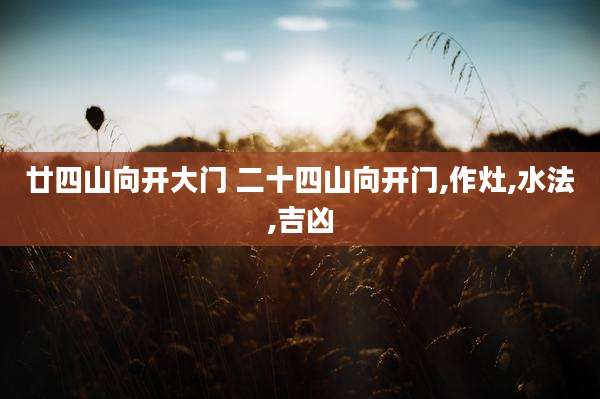 廿四山向开大门 二十四山向开门,作灶,水法,吉凶