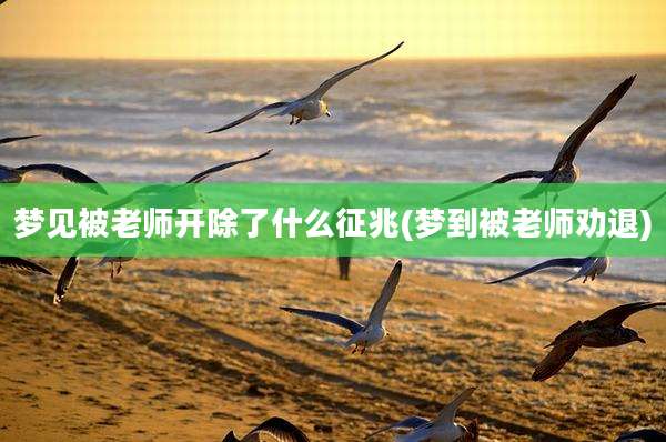 梦见被老师开除了什么征兆(梦到被老师劝退)