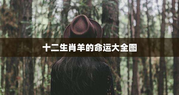 十二生肖羊的命运大全图