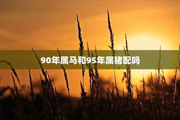 90年属马和95年属猪配吗