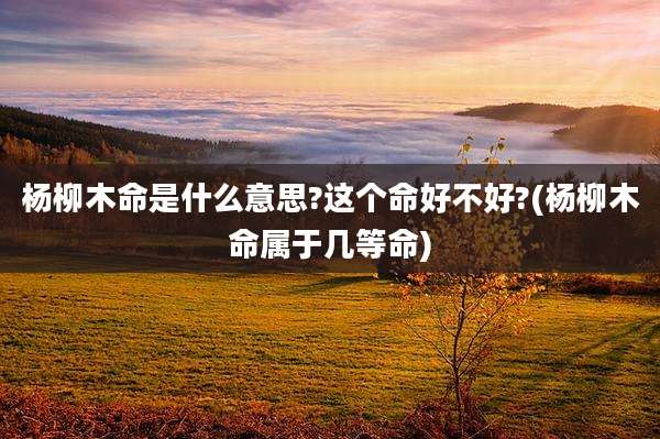 杨柳木命是什么意思?这个命好不好?(杨柳木命属于几等命)
