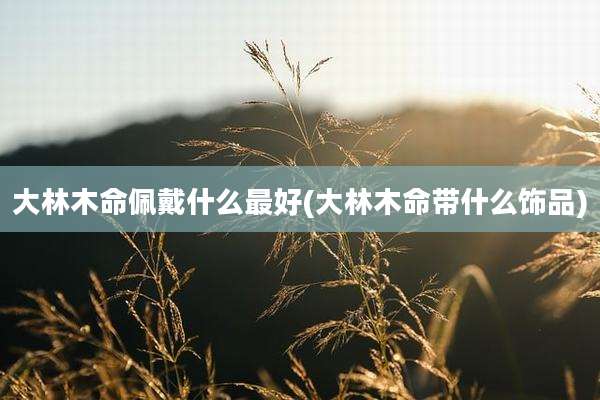 大林木命佩戴什么最好(大林木命带什么饰品)