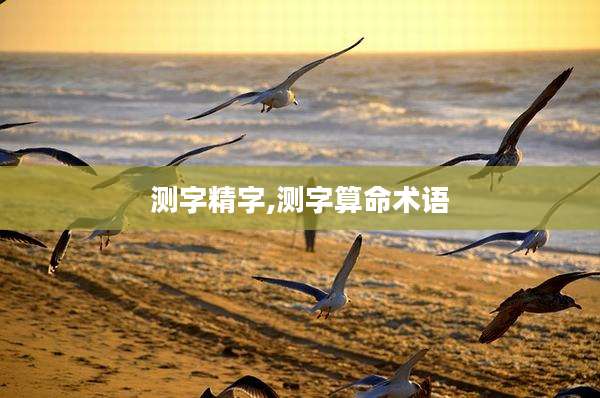测字精字,测字算命术语