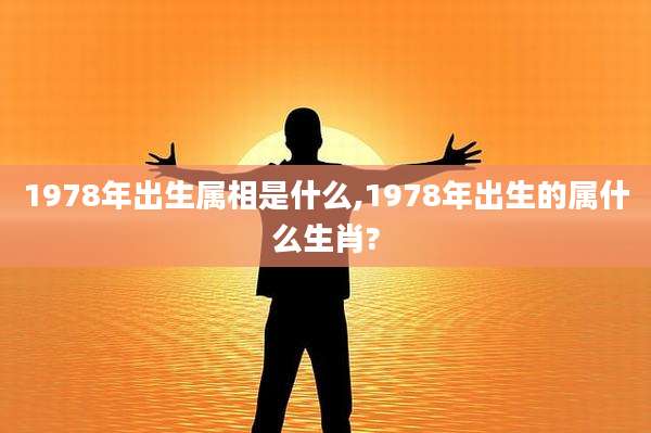 1978年出生属相是什么,1978年出生的属什么生肖?