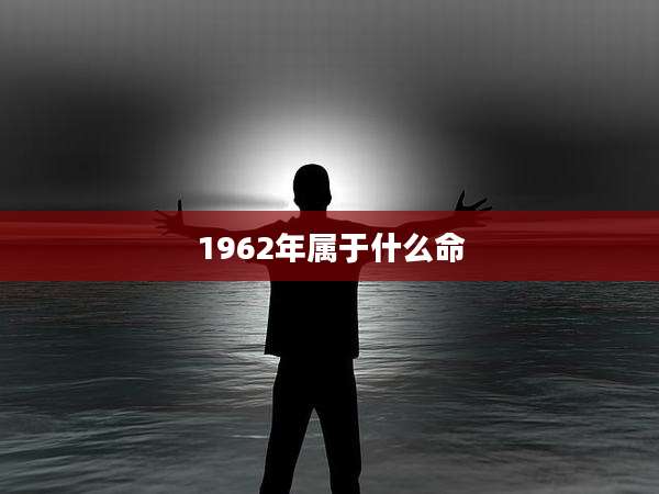 1962年属于什么命