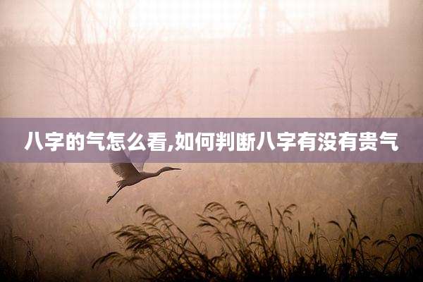 八字的气怎么看,如何判断八字有没有贵气