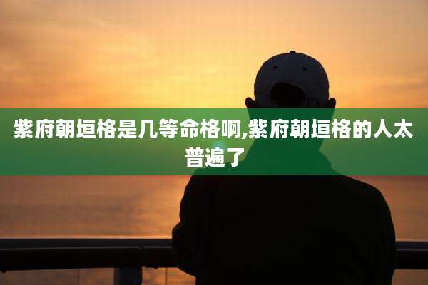 紫府朝垣格是几等命格啊,紫府朝垣格的人太普遍了