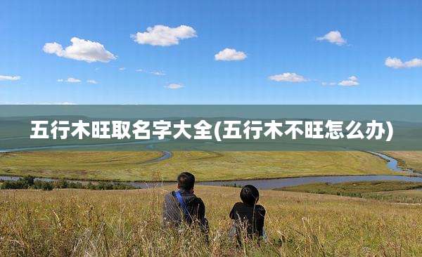 五行木旺取名字大全(五行木不旺怎么办)