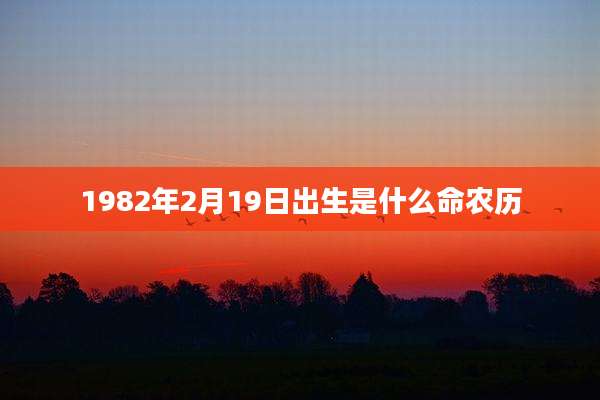 1982年2月19日出生是什么命农历