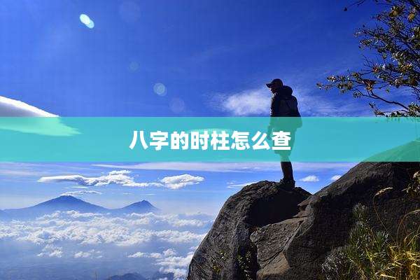 八字的时柱怎么查