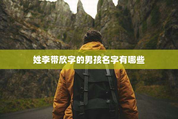 姓李带欣字的男孩名字有哪些