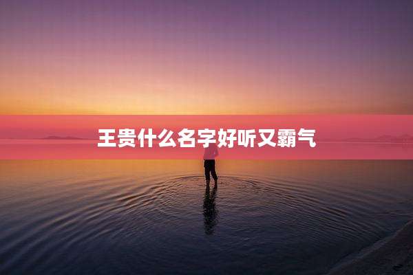 王贵什么名字好听又霸气