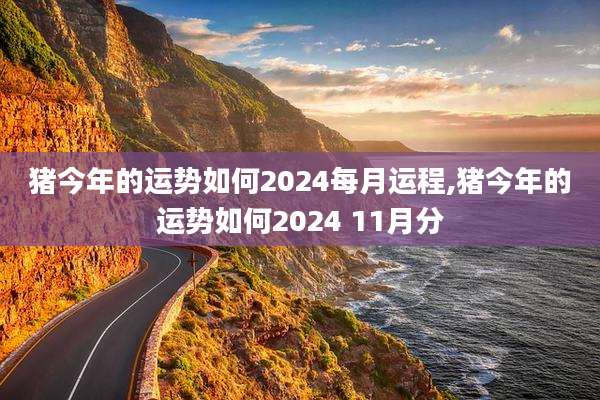 猪今年的运势如何2024每月运程,猪今年的运势如何2024 11月分