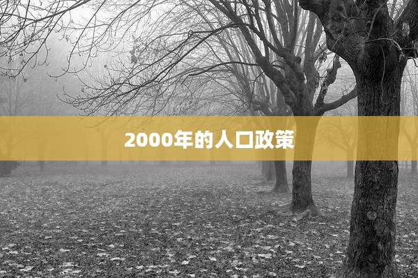 2000年的人口政策