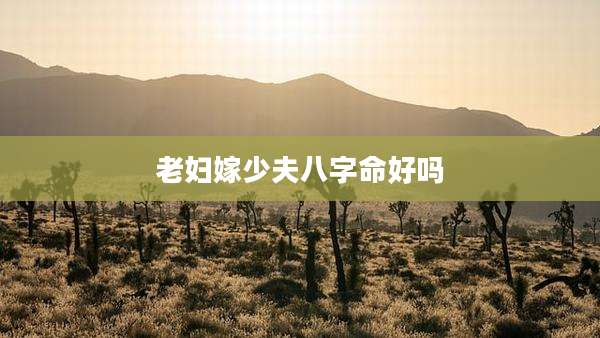 老妇嫁少夫八字命好吗