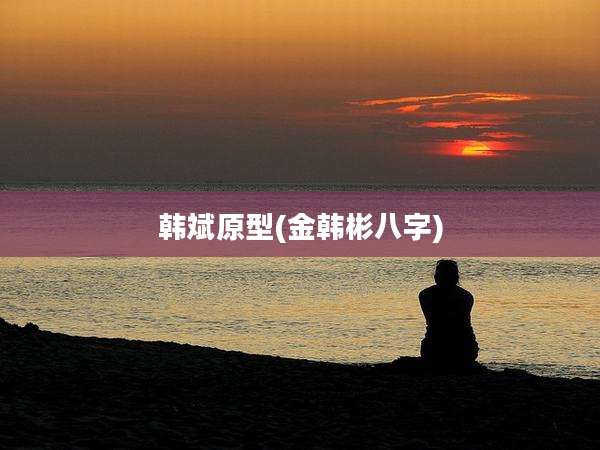 韩斌原型(金韩彬八字)