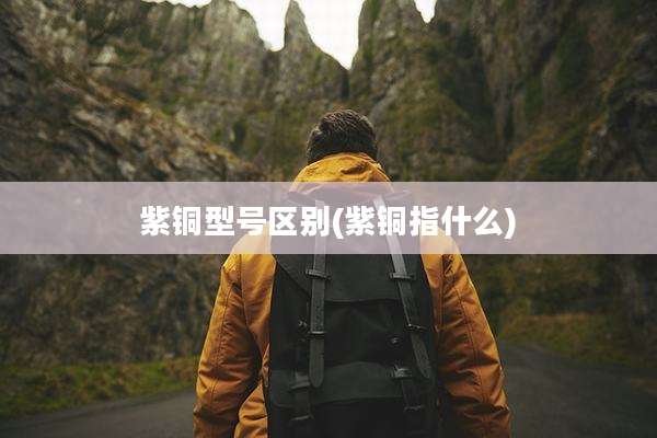 紫铜型号区别(紫铜指什么)
