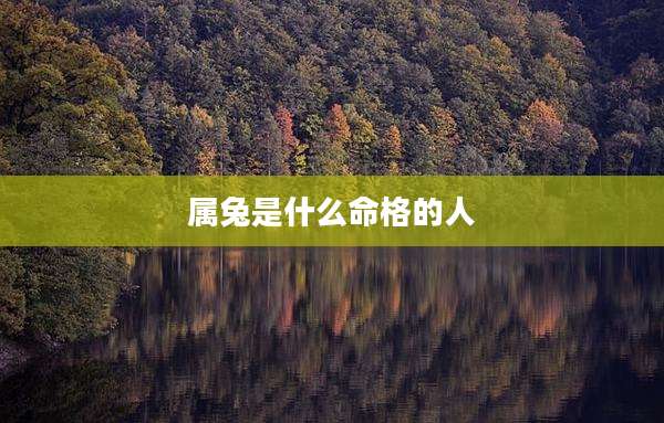 属兔是什么命格的人