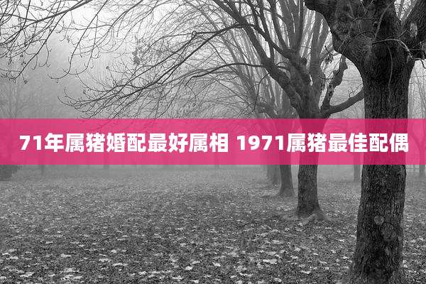 71年属猪婚配最好属相 1971属猪最佳配偶
