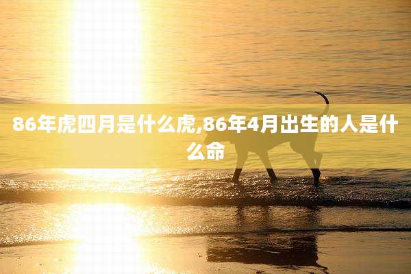 86年虎四月是什么虎,86年4月出生的人是什么命