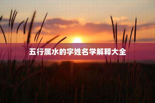 五行属水的字姓名学解释大全
