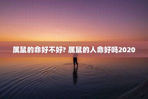 属鼠的命好不好? 属鼠的人命好吗2020