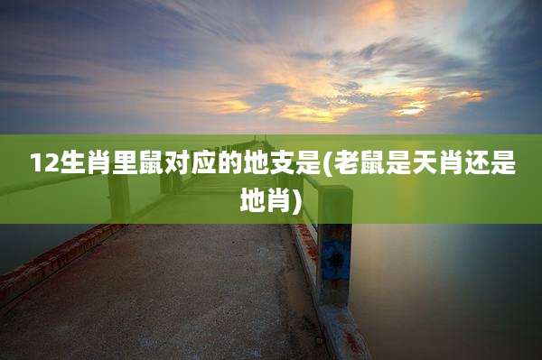 12生肖里鼠对应的地支是(老鼠是天肖还是地肖)