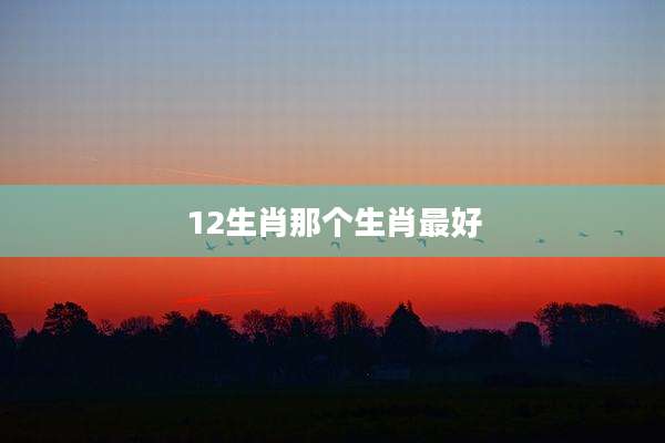 12生肖那个生肖最好