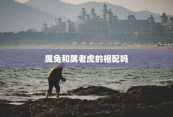 属兔和属老虎的相配吗