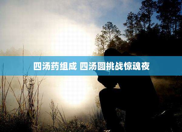 四汤药组成 四汤圆挑战惊魂夜