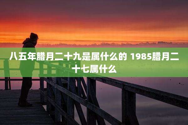 八五年腊月二十九是属什么的 1985腊月二十七属什么