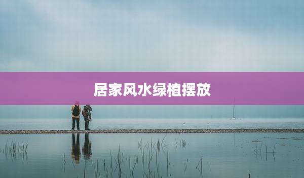 居家风水绿植摆放