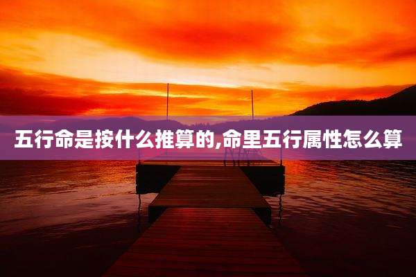 五行命是按什么推算的,命里五行属性怎么算