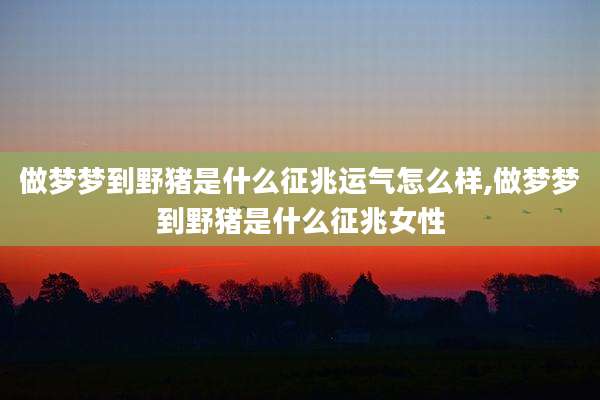 做梦梦到野猪是什么征兆运气怎么样,做梦梦到野猪是什么征兆女性