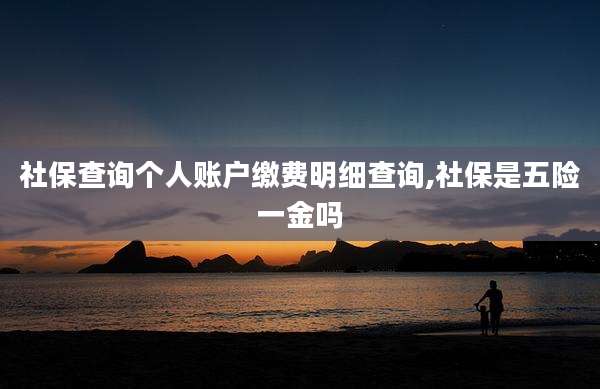 社保查询个人账户缴费明细查询,社保是五险一金吗