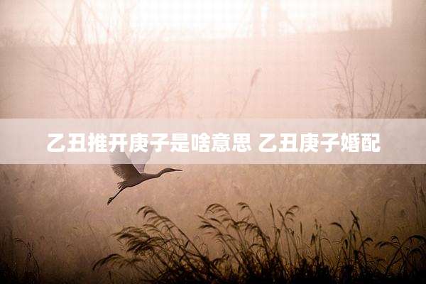 乙丑推开庚子是啥意思 乙丑庚子婚配