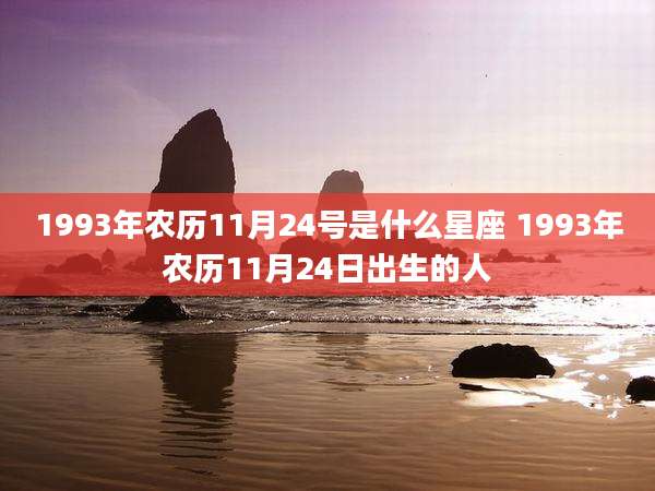 1993年农历11月24号是什么星座 1993年农历11月24日出生的人