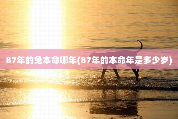 87年的兔本命哪年(87年的本命年是多少岁)