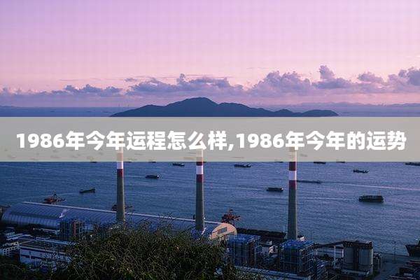 1986年今年运程怎么样,1986年今年的运势