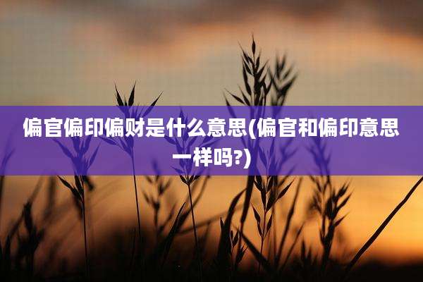 偏官偏印偏财是什么意思(偏官和偏印意思一样吗?)