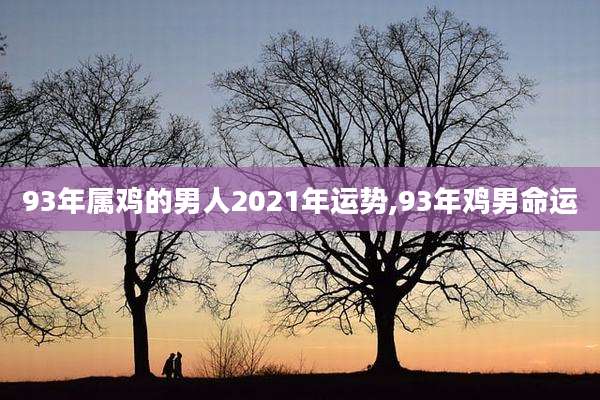 93年属鸡的男人2021年运势,93年鸡男命运