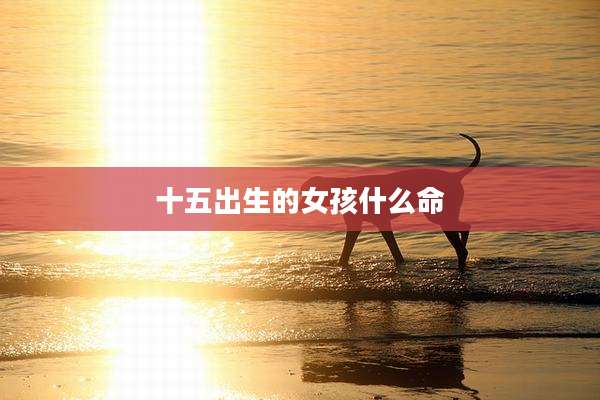 十五出生的女孩什么命