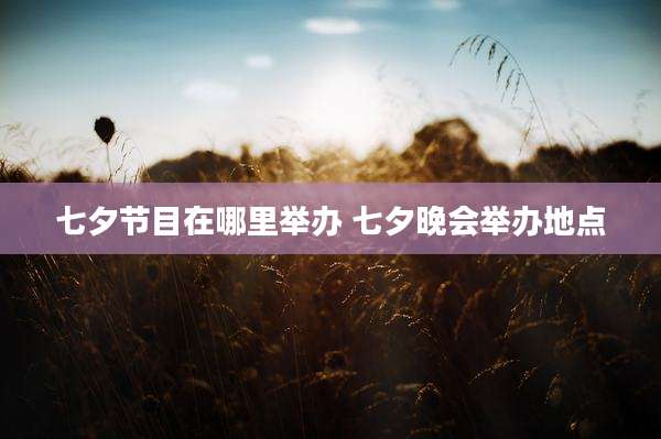 七夕节目在哪里举办 七夕晚会举办地点